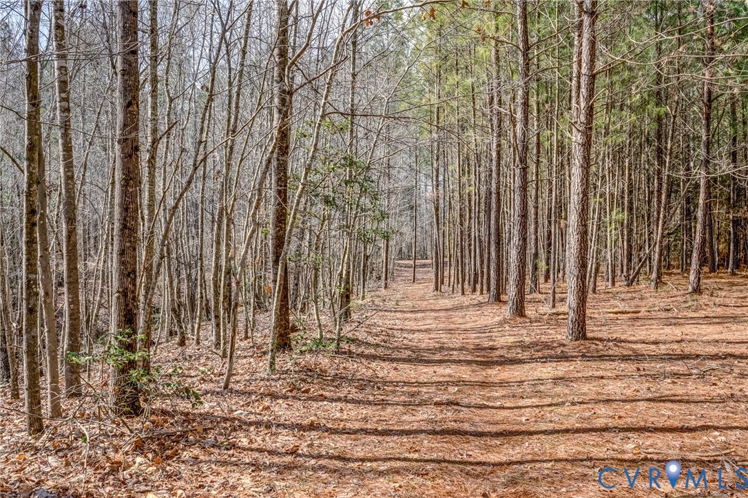 33051 Walnut Grove Farm Lane Hanover, VA 23069 - Photo 18 of 76 a view of street along with trees