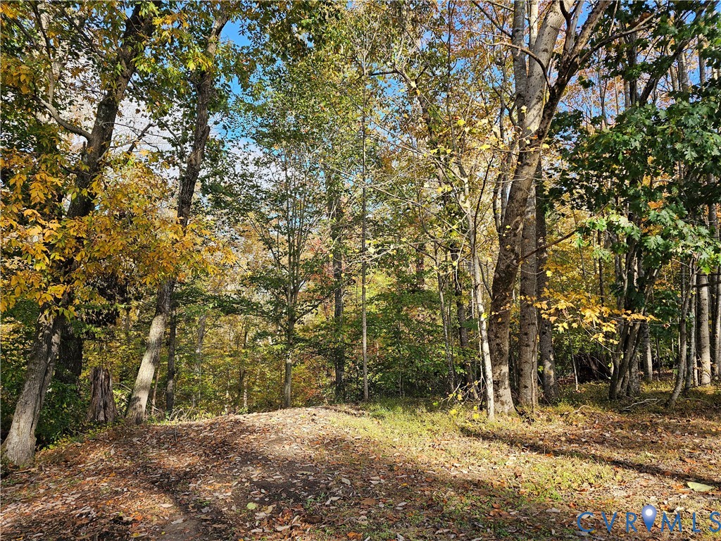 33051 Walnut Grove Farm Lane Hanover, VA 23069 - Photo 19 of 50 a view of a yard with trees