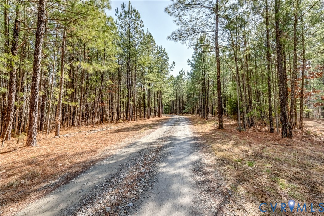 33051 Walnut Grove Farm Lane Hanover, VA 23069 - Photo 20 of 76