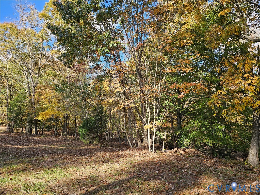 33051 Walnut Grove Farm Lane Hanover, VA 23069 - Photo 20 of 50 a view of a forest with trees