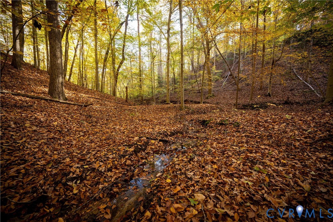 33051 Walnut Grove Farm Lane Hanover, VA 23069 - Photo 23 of 50 a view of backyard with green space