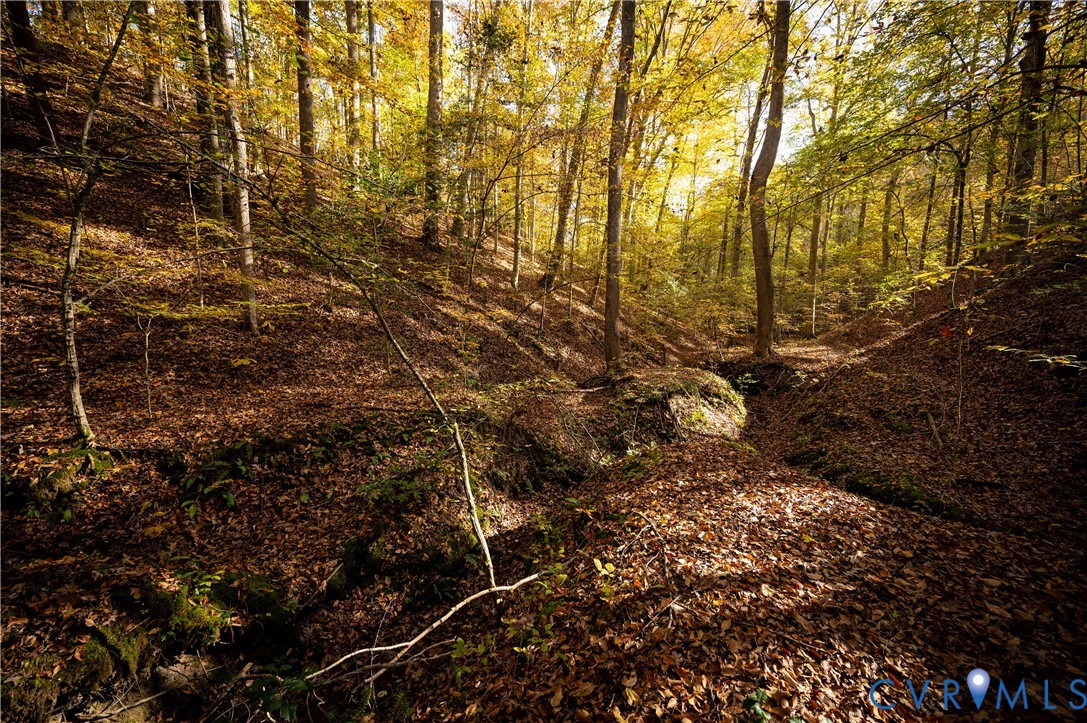 33051 Walnut Grove Farm Lane Hanover, VA 23069 - Photo 24 of 50 a view of a yard