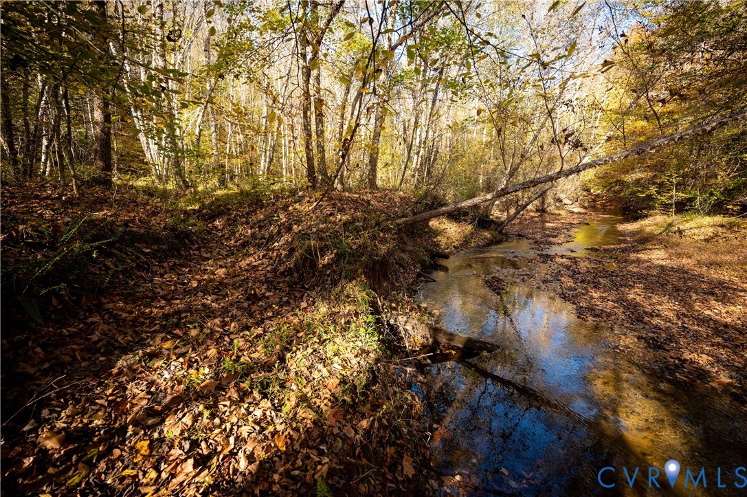33051 Walnut Grove Farm Lane Hanover, VA 23069 - Photo 25 of 50 a view of a tree in a yard