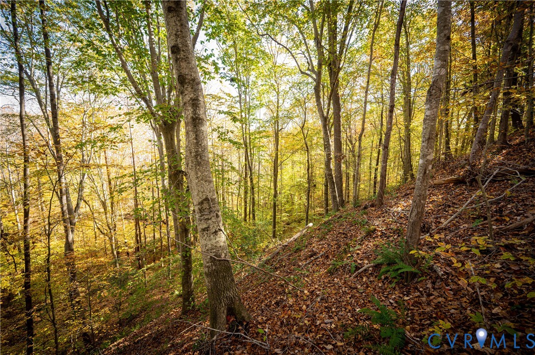 33051 Walnut Grove Farm Lane Hanover, VA 23069 - Photo 27 of 50