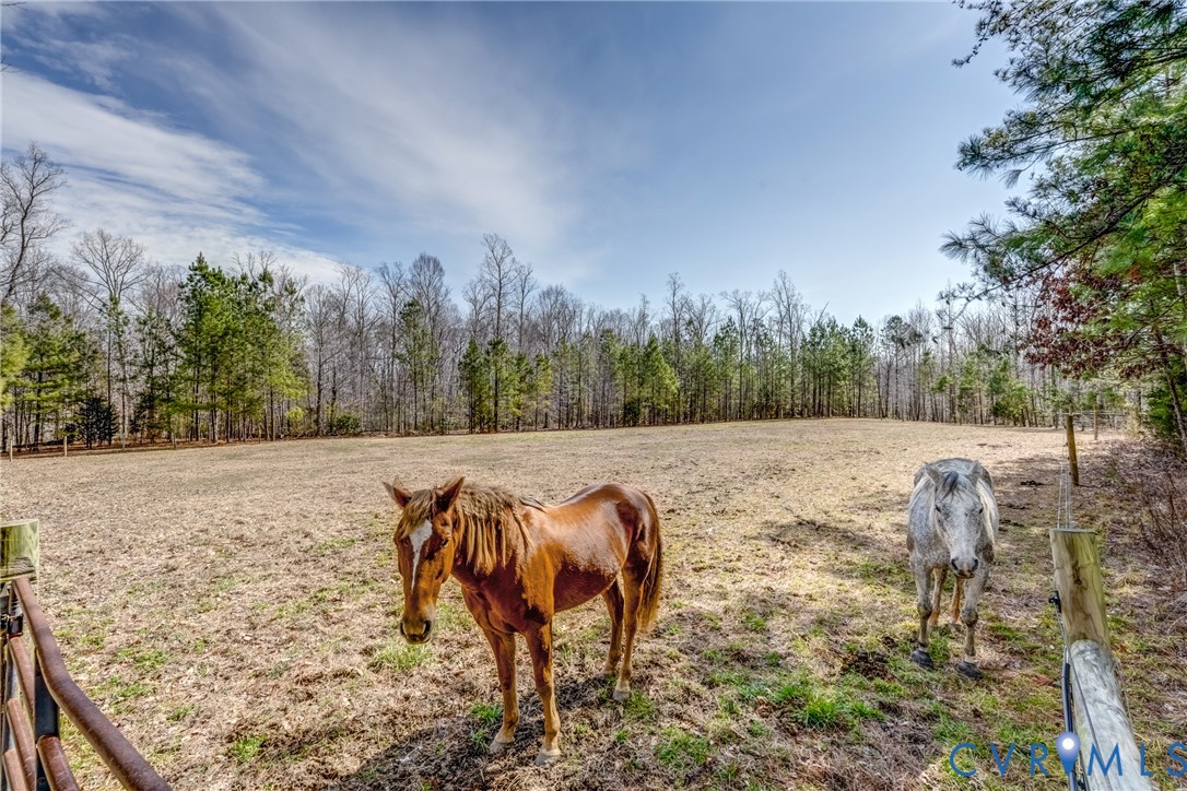33051 Walnut Grove Farm Lane Hanover, VA 23069 - Photo 29 of 76