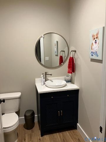 33051 Walnut Grove Farm Lane Hanover, VA 23069 - Photo 46 of 50 a bathroom with a sink and a toilet