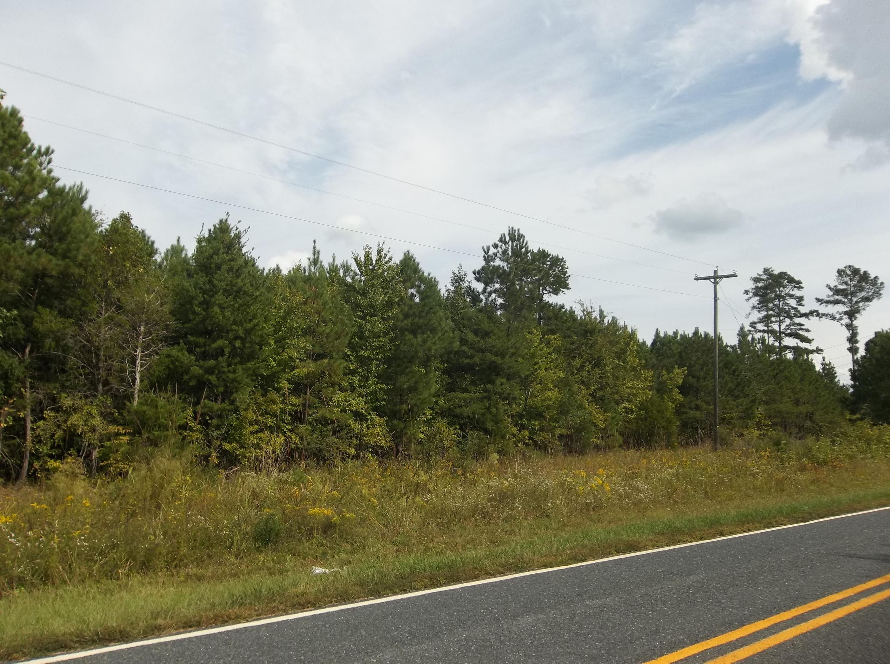 0 Coggins Road Biscoe, NC 27209 - Photo 1 of 4 Front view