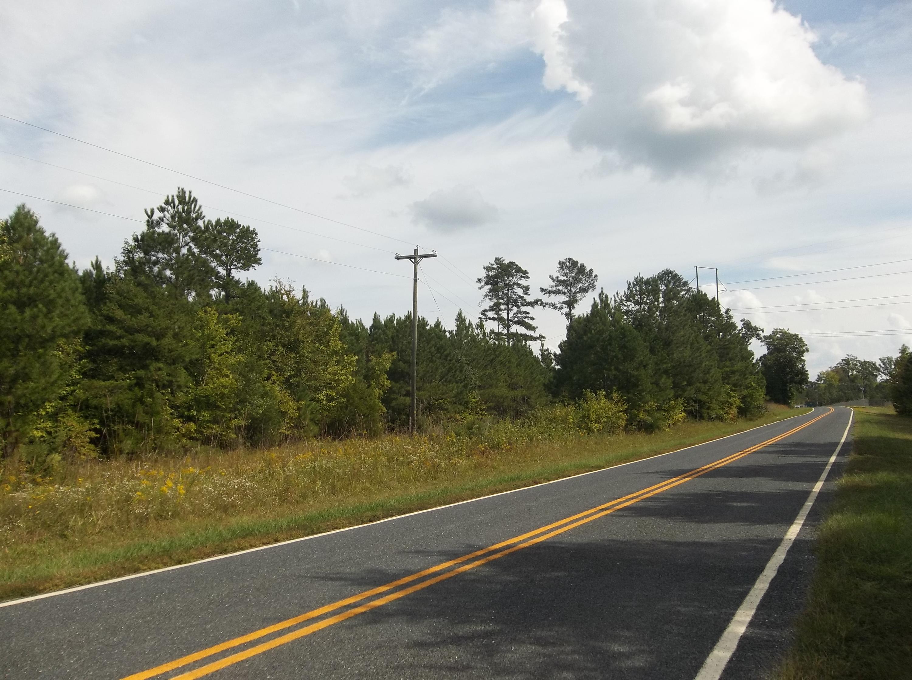 0 Coggins Road Biscoe, NC 27209 - Photo 2 of 4 Shirley Royster 002