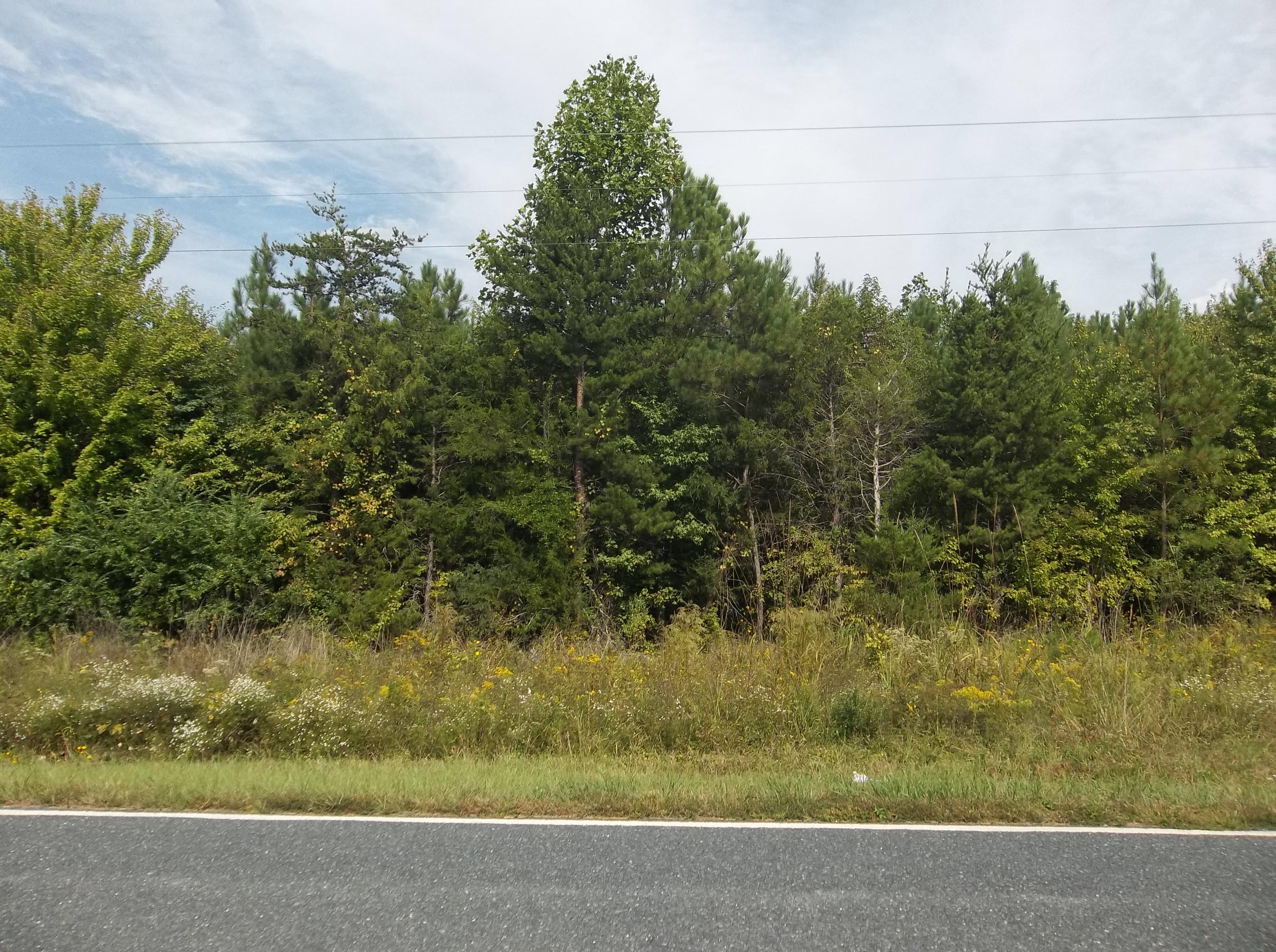 0 Coggins Road Biscoe, NC 27209 - Photo 3 of 4 Shirley Royster 003