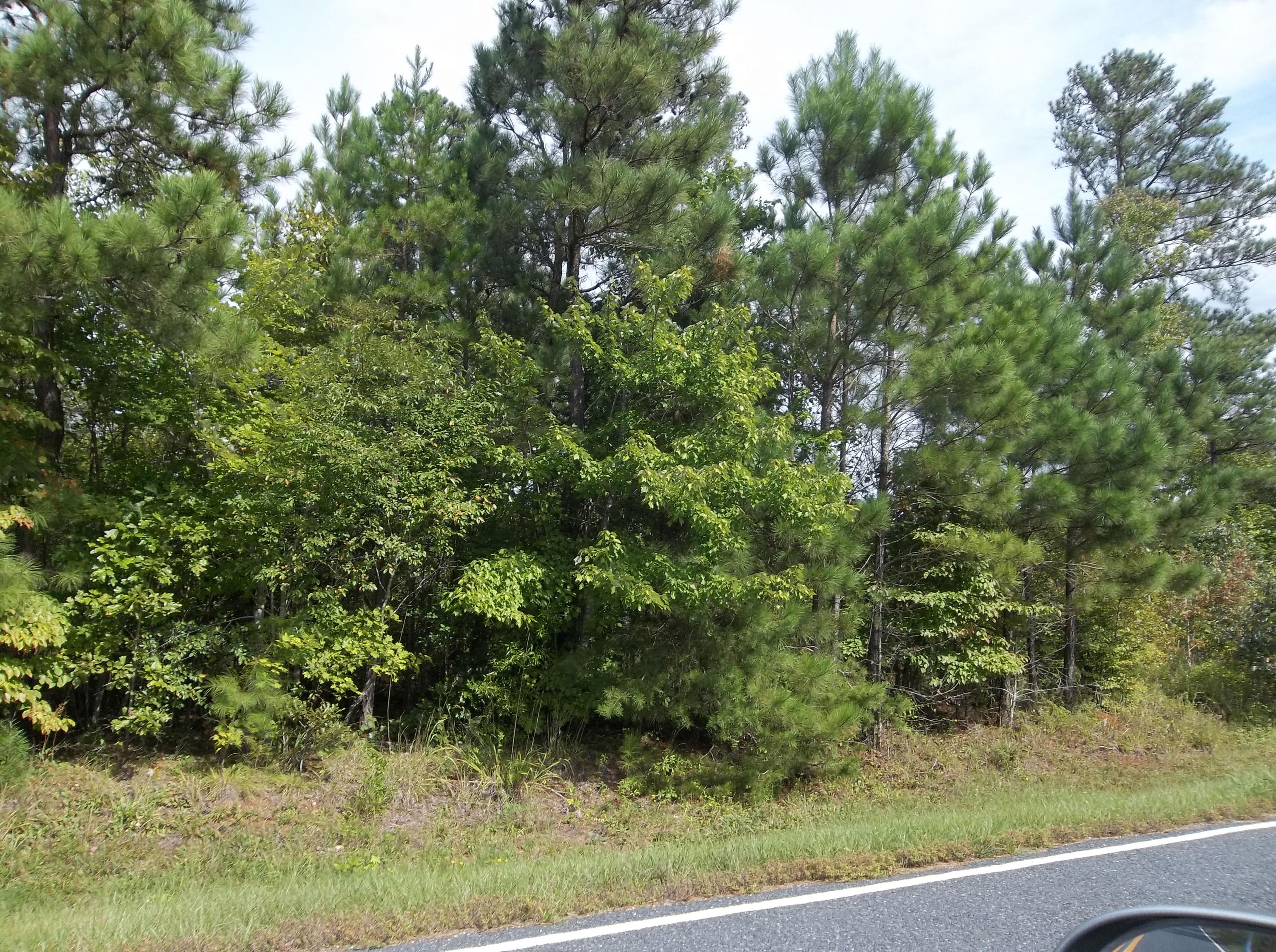 0 Coggins Road Biscoe, NC 27209 - Photo 4 of 4 Shirley Royster 004