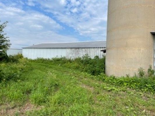 12257 Waterman Road Waterman, IL 60556 - Photo 11 of 22 a view of a garden