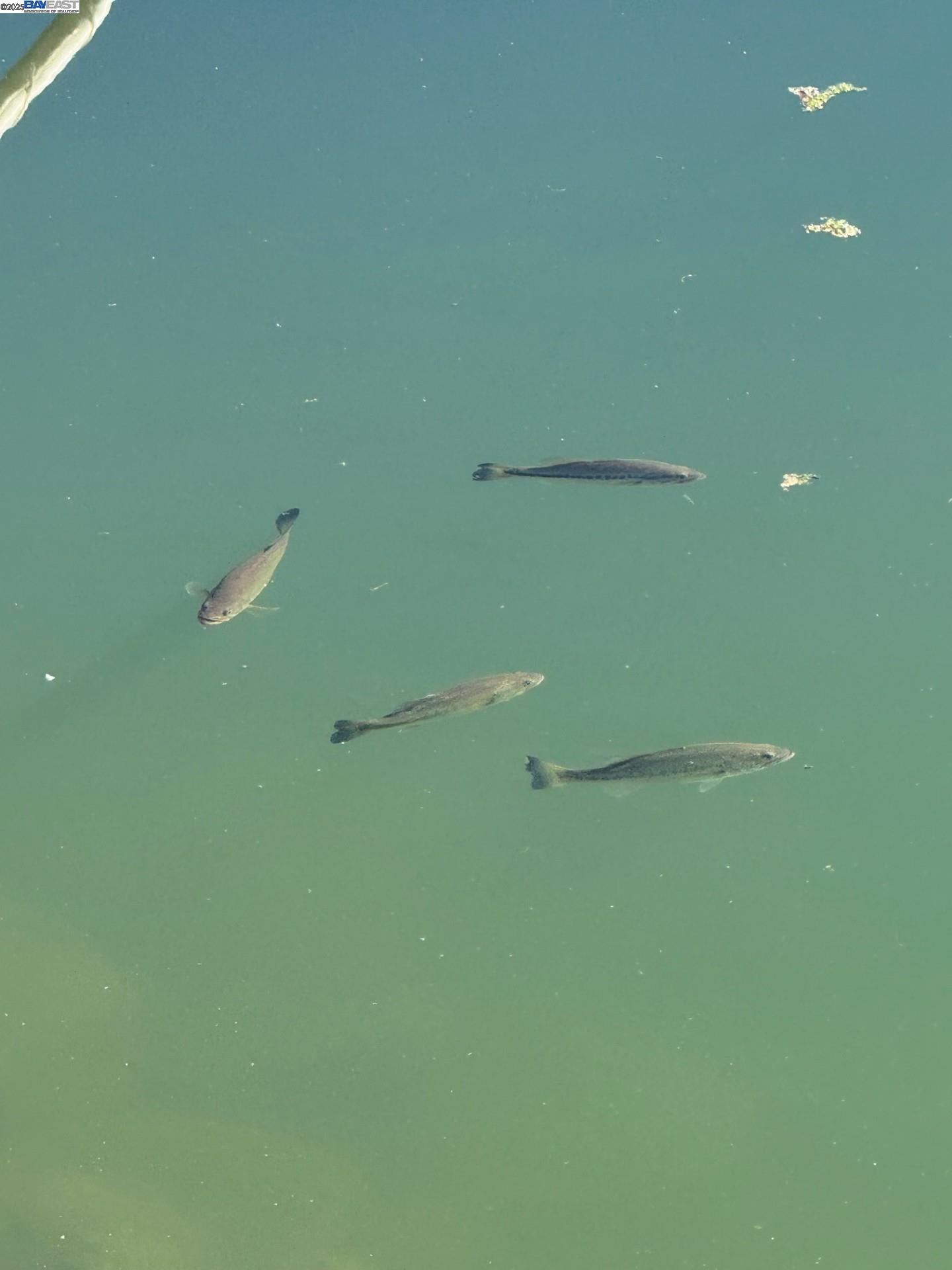 118 Pelican Loop Pittsburg, CA 94565 - Photo 21 of 21 a view of a air conditioner