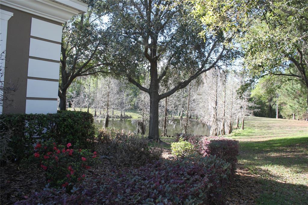 3222 Villa Strada Way Orlando, FL 32835 - Photo 22 of 26 a view of a garden with a tree