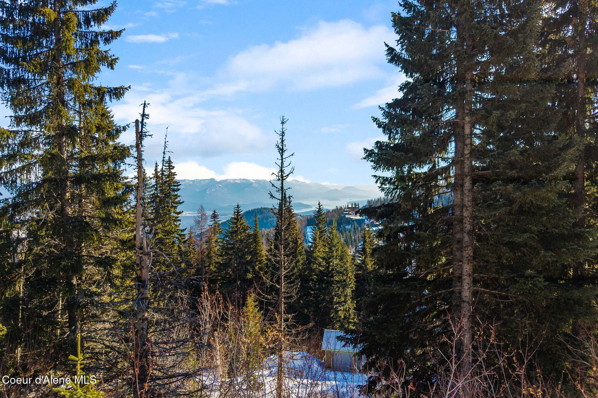 Nna Mogul Hill Road Sandpoint, ID 83864 - Photo 2 of 18 NNA Mogul Hill