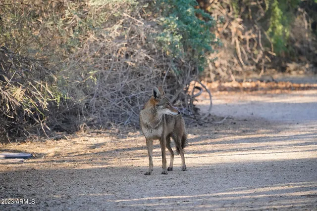$10,000 | 4811 East Fairfield Street, Mesa, AZ 85205