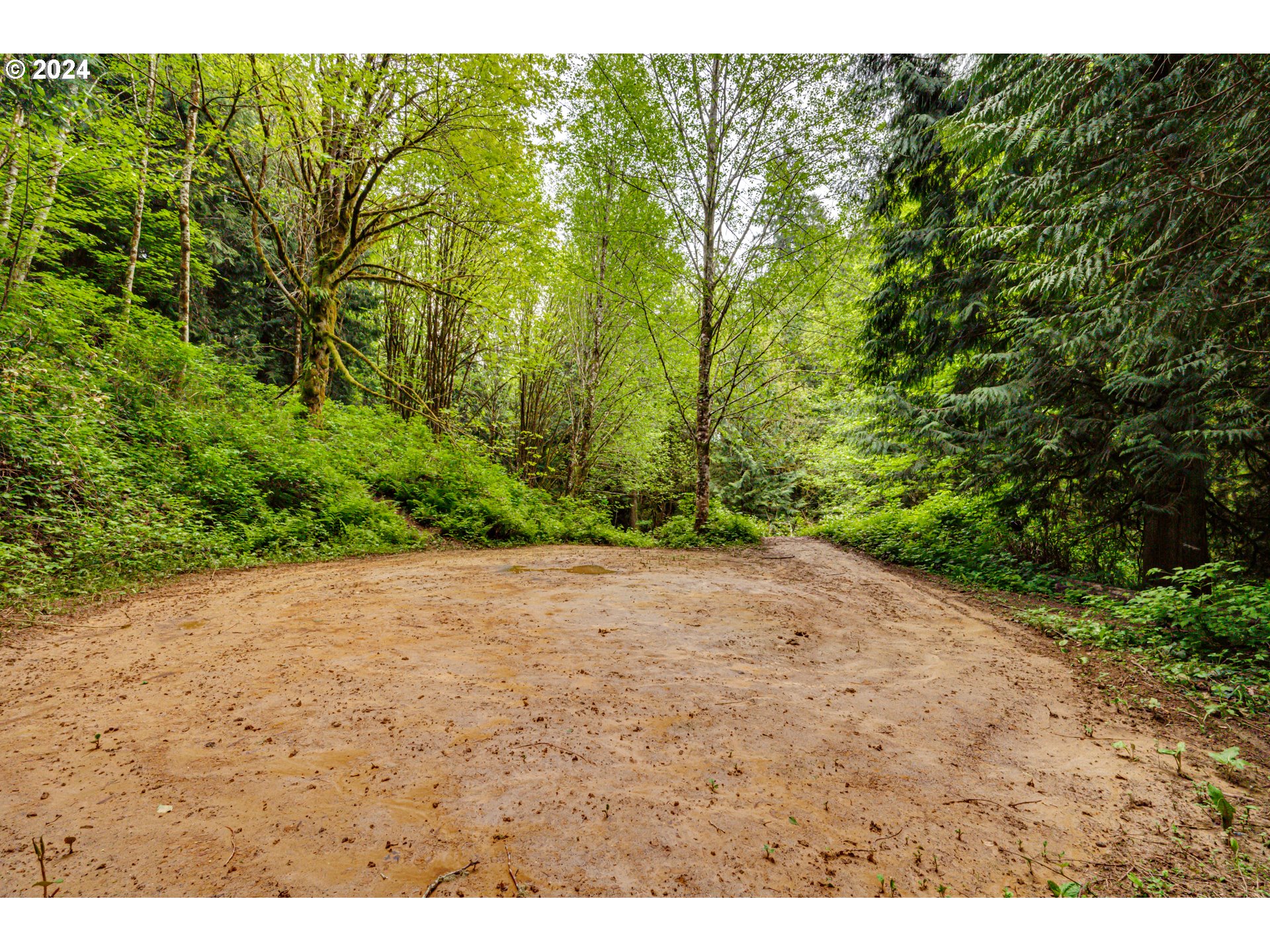 631 Clark Creek Road Longview, WA 98632 - Photo 37 of 40 a view of a yard with a tree