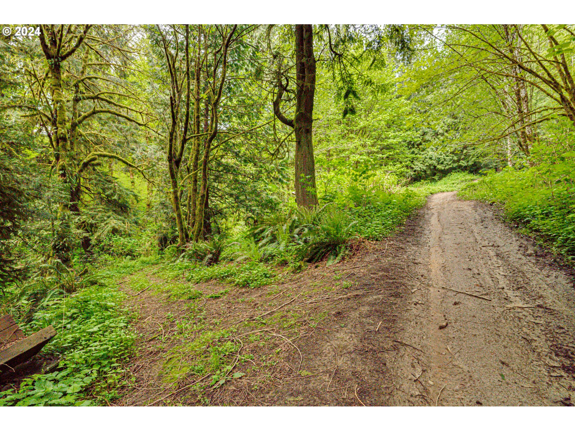 631 Clark Creek Road Longview, WA 98632 - Photo 40 of 40 a view of a yard with plants