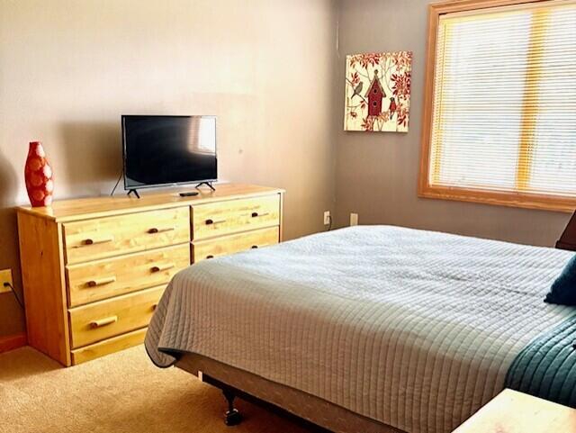 1844-7 East 20th Court, Unit 2507 Strongs Prairie, WI 54613 - Photo 26 of 52 Bedroom 3