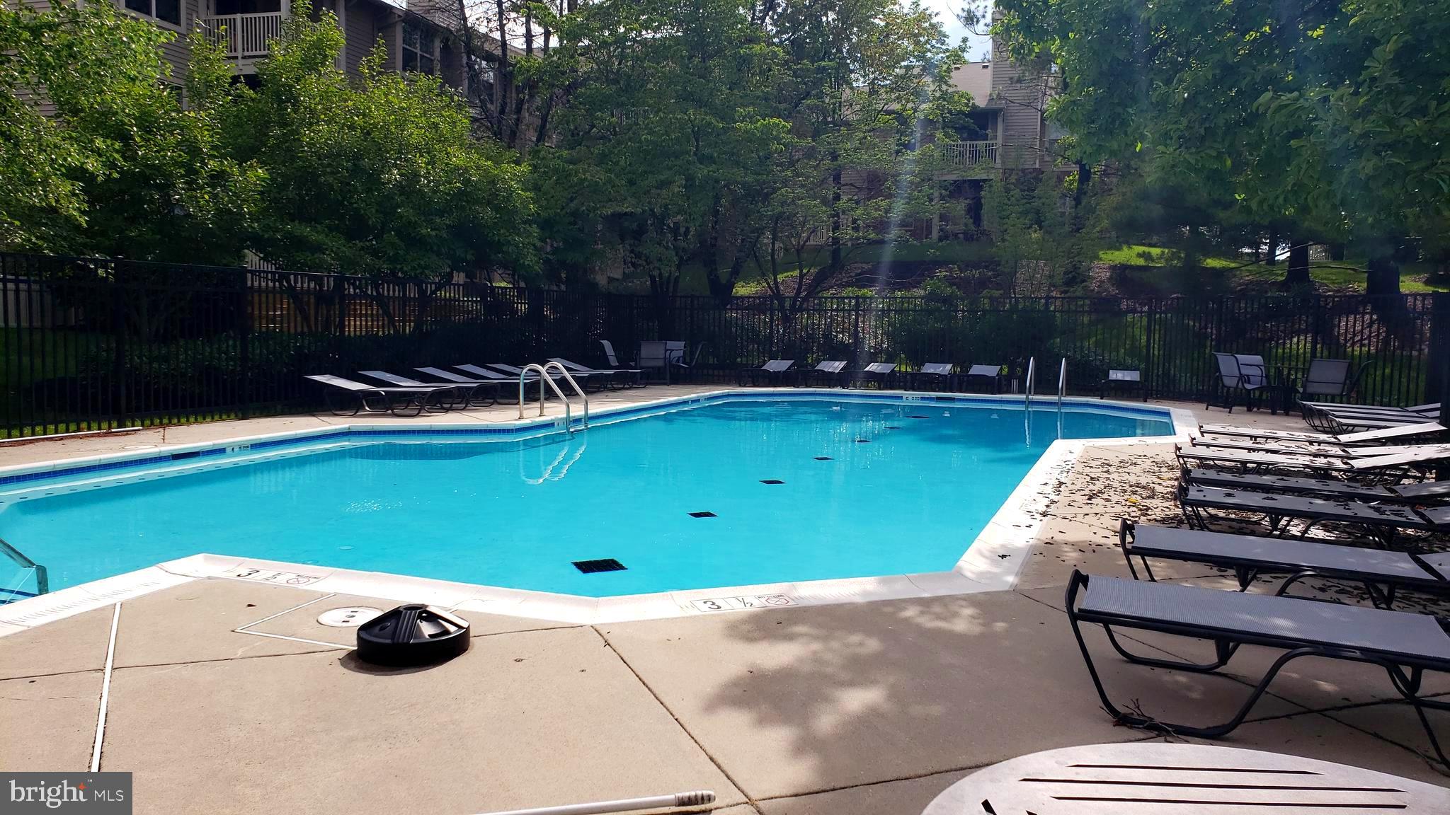 1706 Ascot Way, Unit B Reston, VA 20190 - Photo 20 of 31 Community Pool