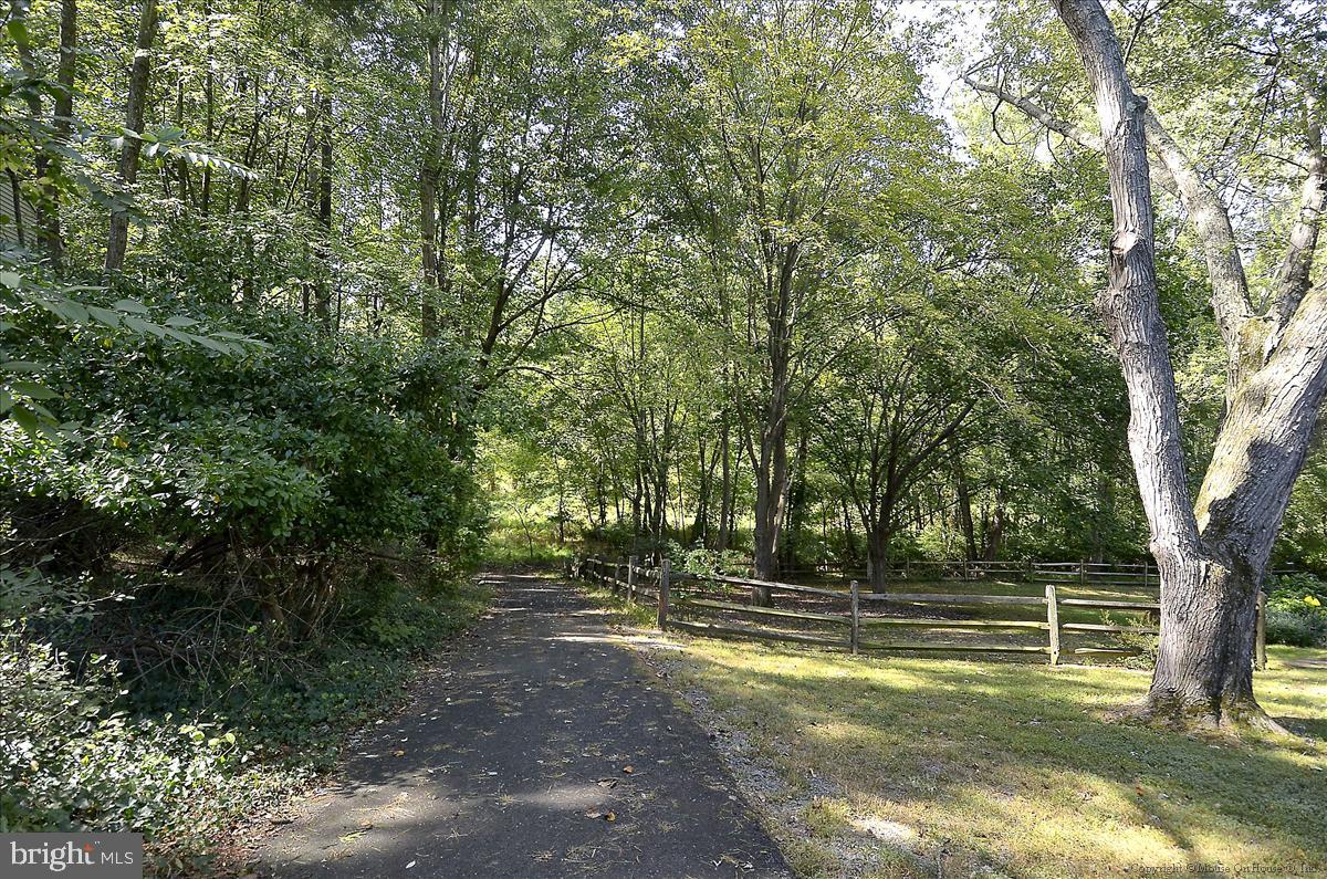 1706 Ascot Way, Unit B Reston, VA 20190 - Photo 28 of 31 Pathway