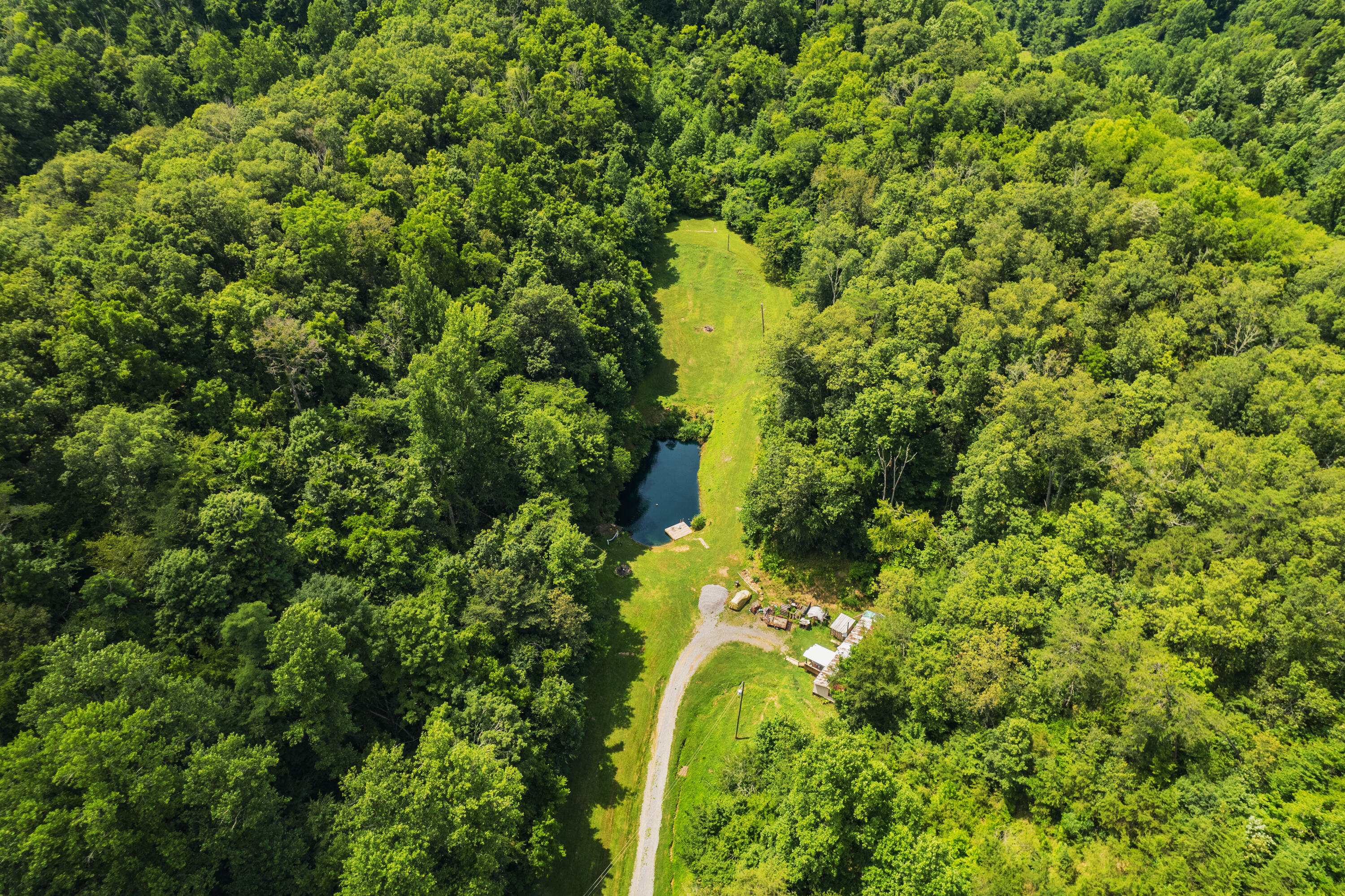845 Bales Hollow Road Seymour, TN 37865 - Photo 2 of 32 DJI_0002
