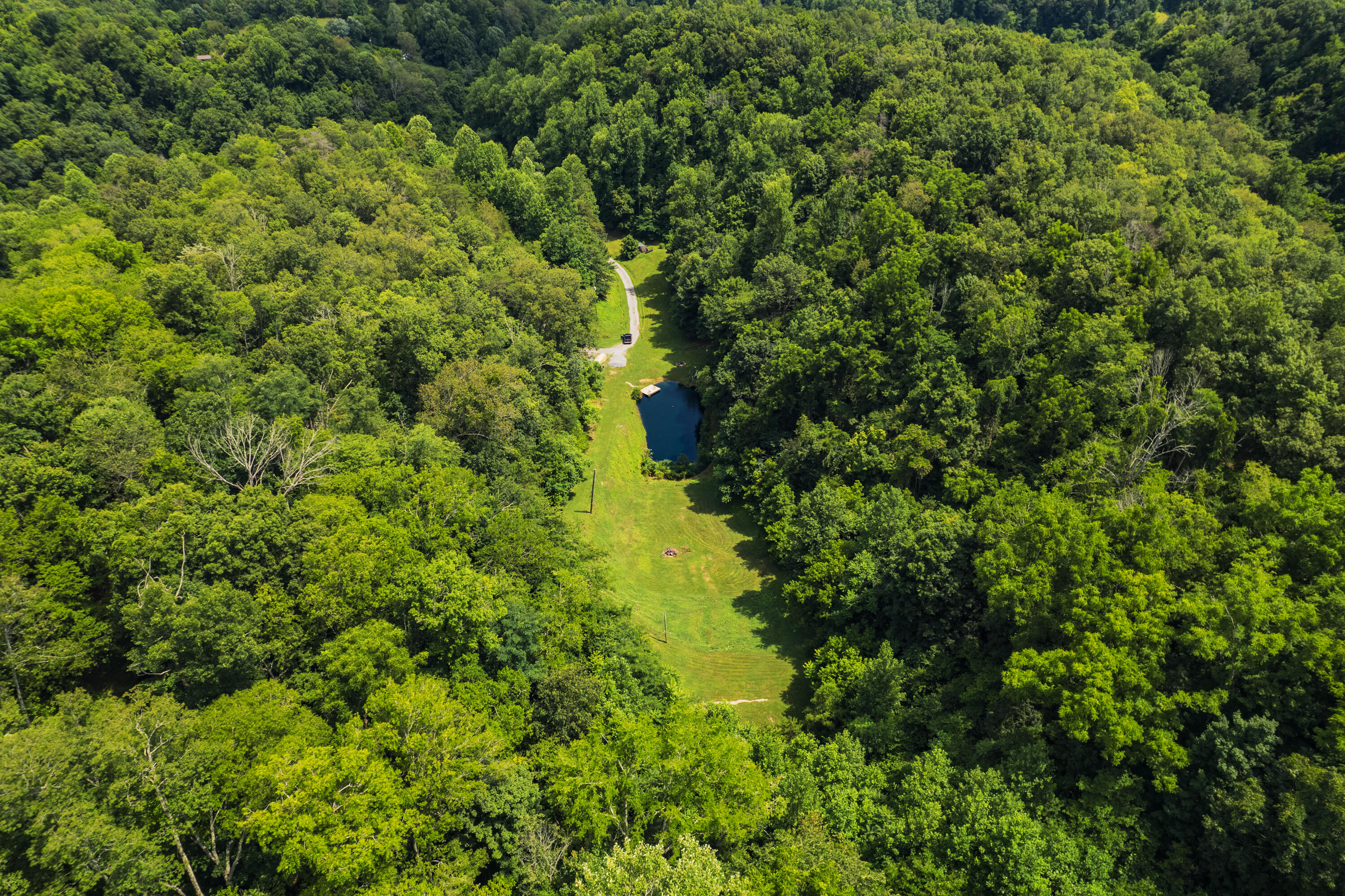845 Bales Hollow Road Seymour, TN 37865 - Photo 11 of 32 DJI_0014