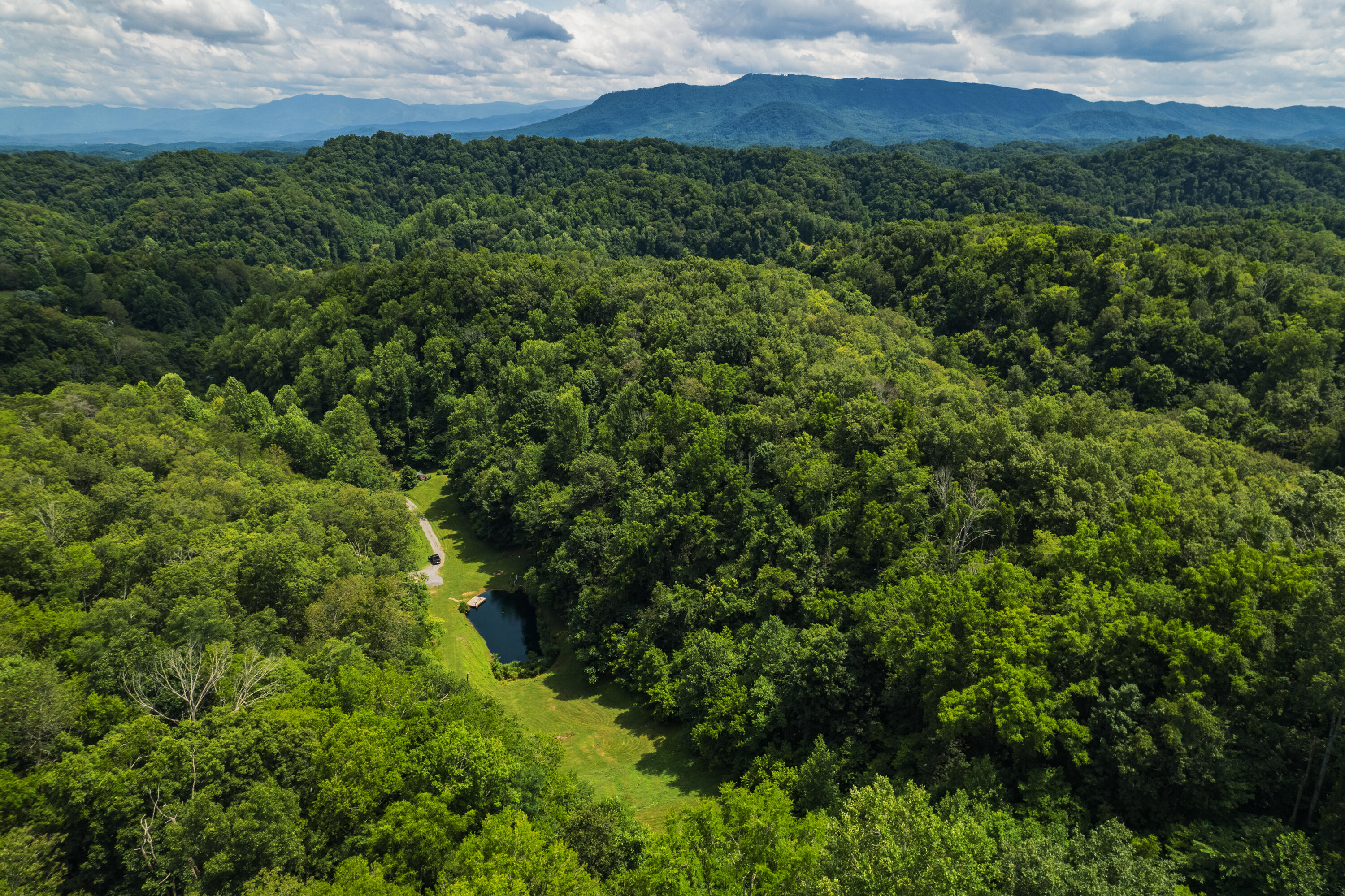 845 Bales Hollow Road Seymour, TN 37865 - Photo 12 of 32 DJI_0015