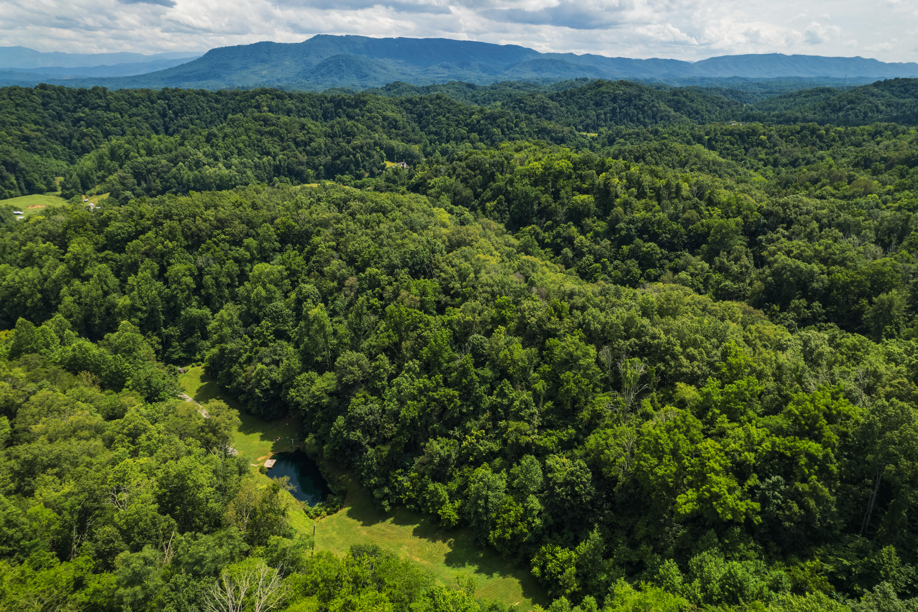 845 Bales Hollow Road Seymour, TN 37865 - Photo 13 of 32 DJI_0017