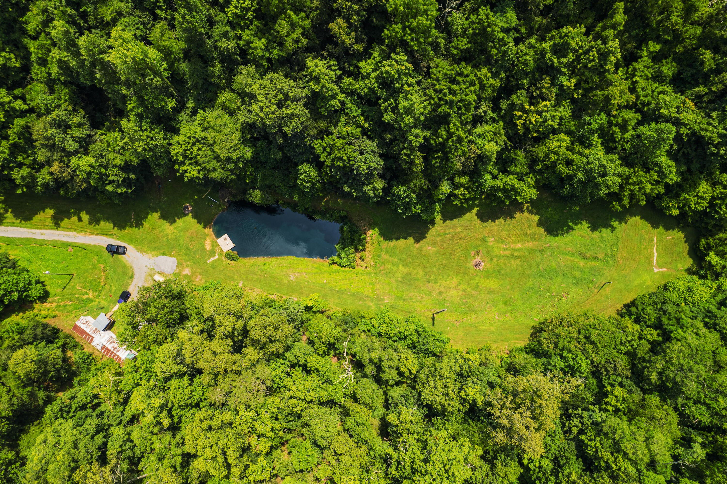 845 Bales Hollow Road Seymour, TN 37865 - Photo 14 of 32 DJI_0018