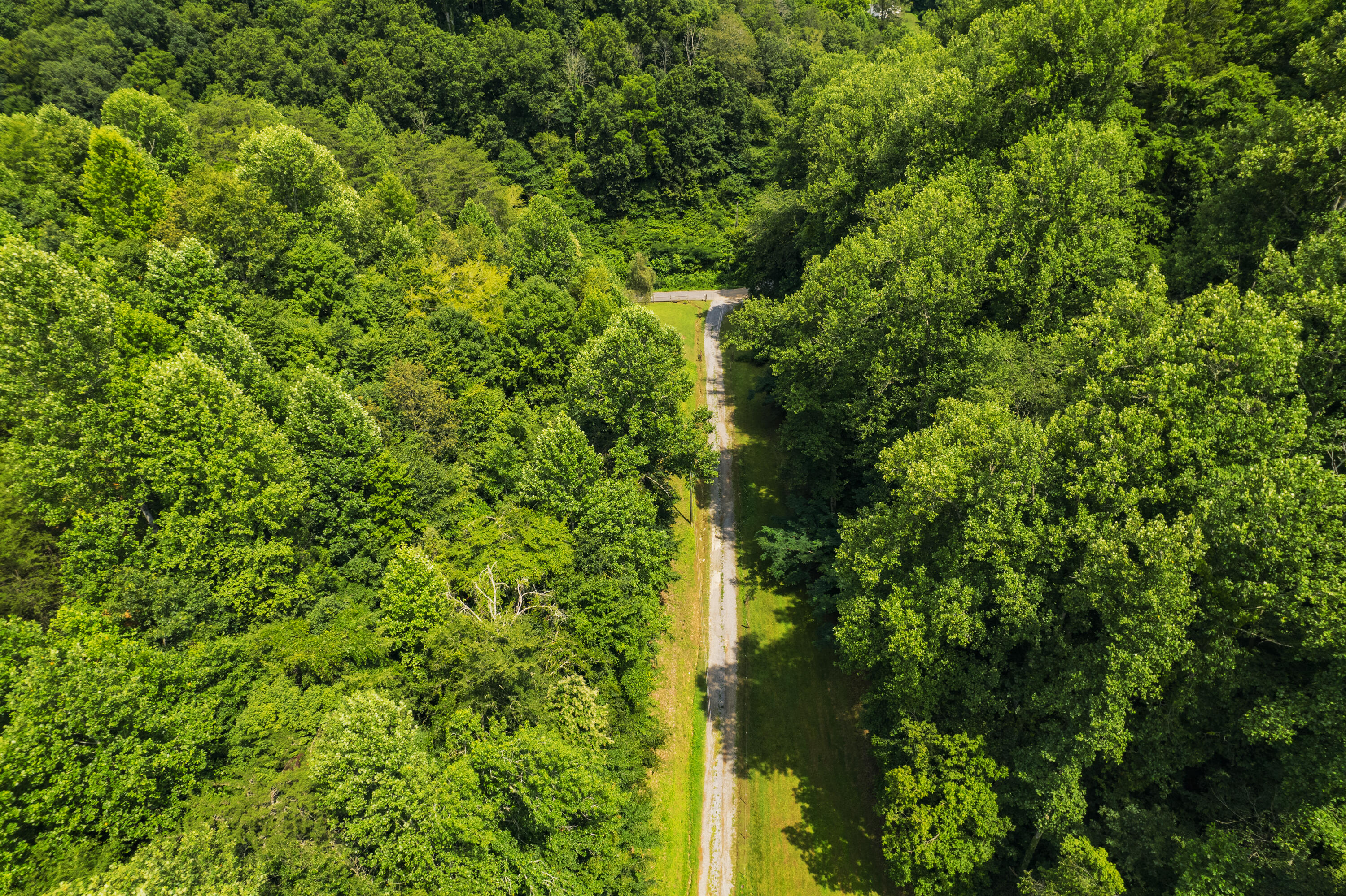 845 Bales Hollow Road Seymour, TN 37865 - Photo 17 of 32 DJI_0024