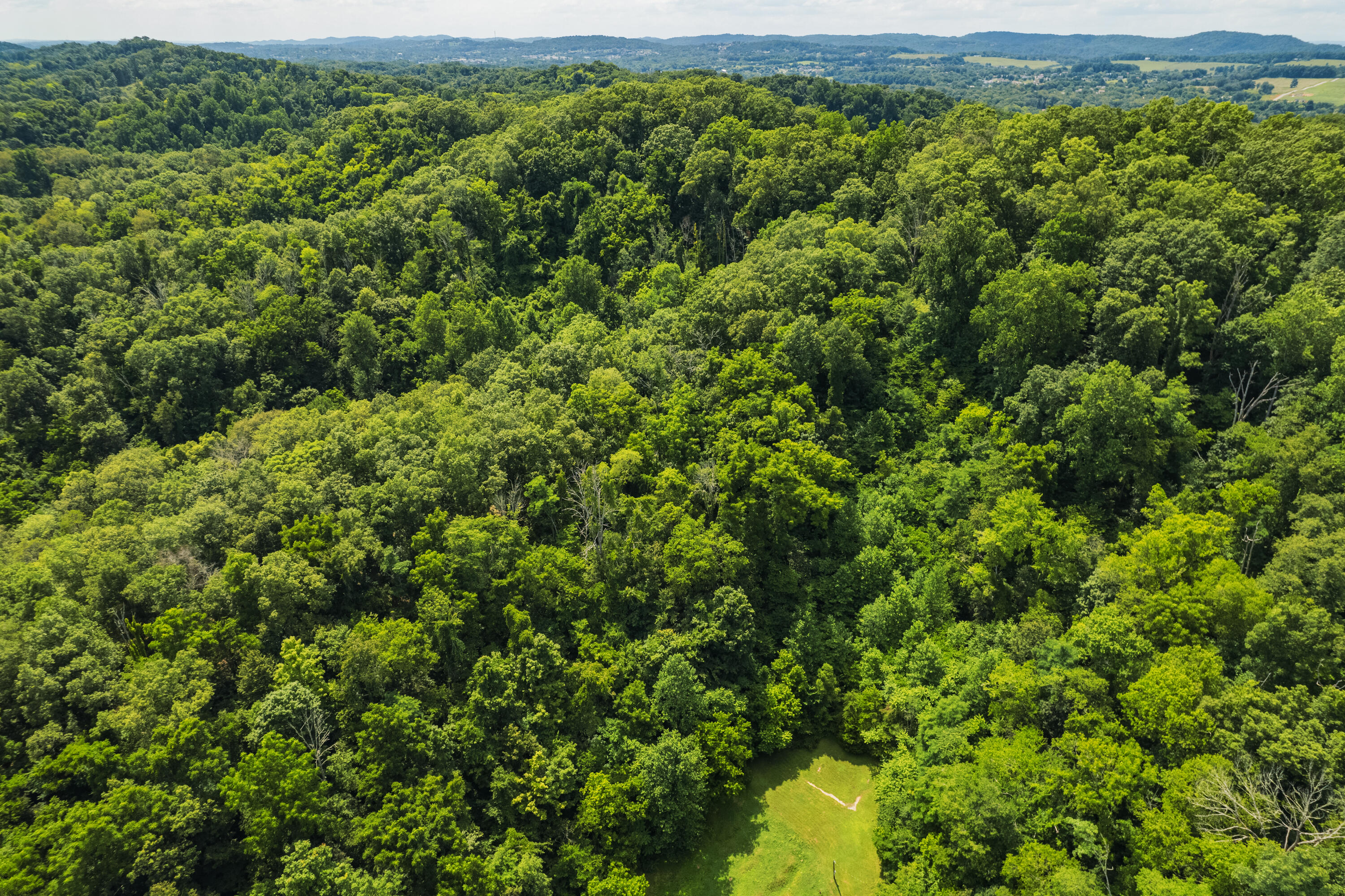 845 Bales Hollow Road Seymour, TN 37865 - Photo 23 of 32 DJI_0033