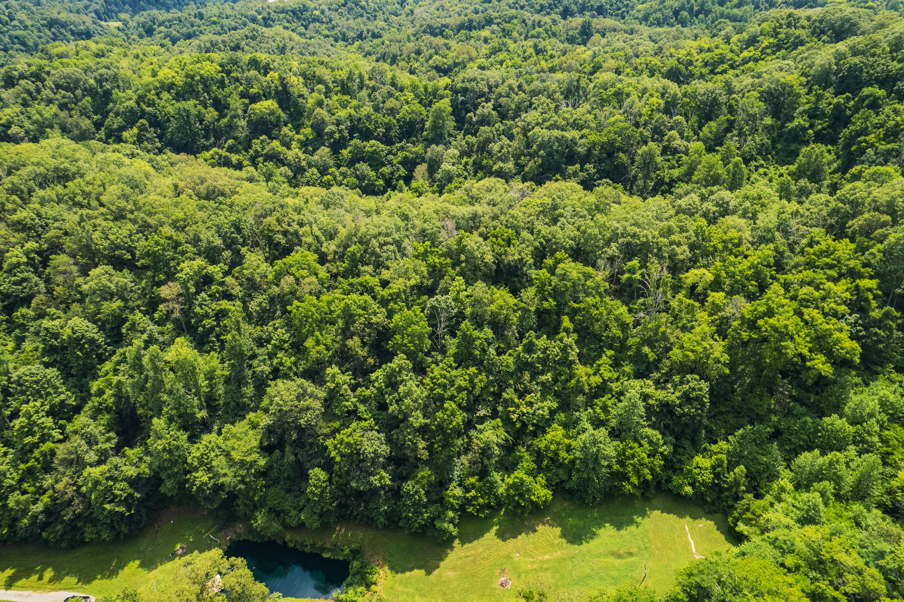 845 Bales Hollow Road Seymour, TN 37865 - Photo 24 of 32 DJI_0034