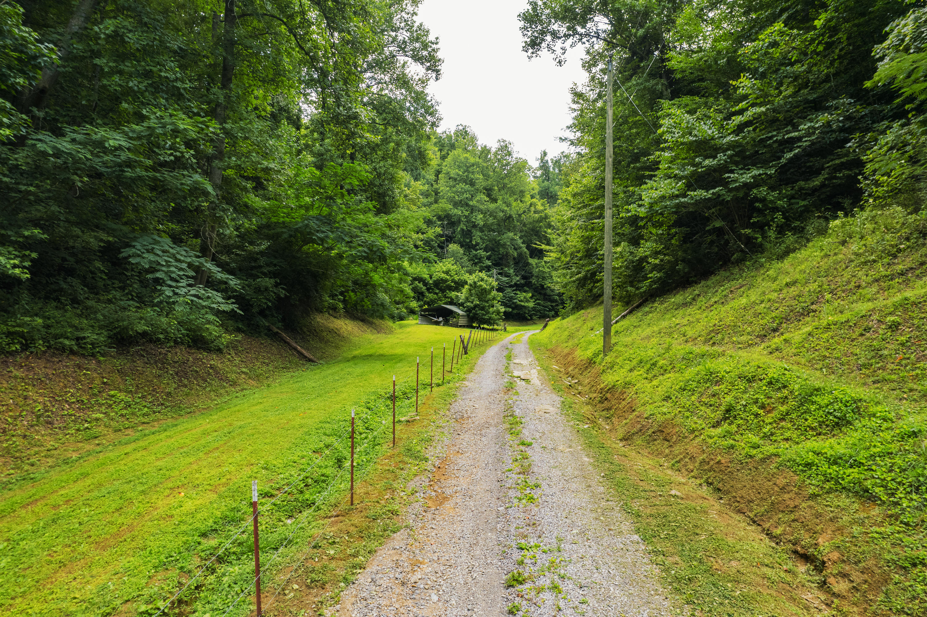 845 Bales Hollow Road Seymour, TN 37865 - Photo 26 of 32 DJI_0041
