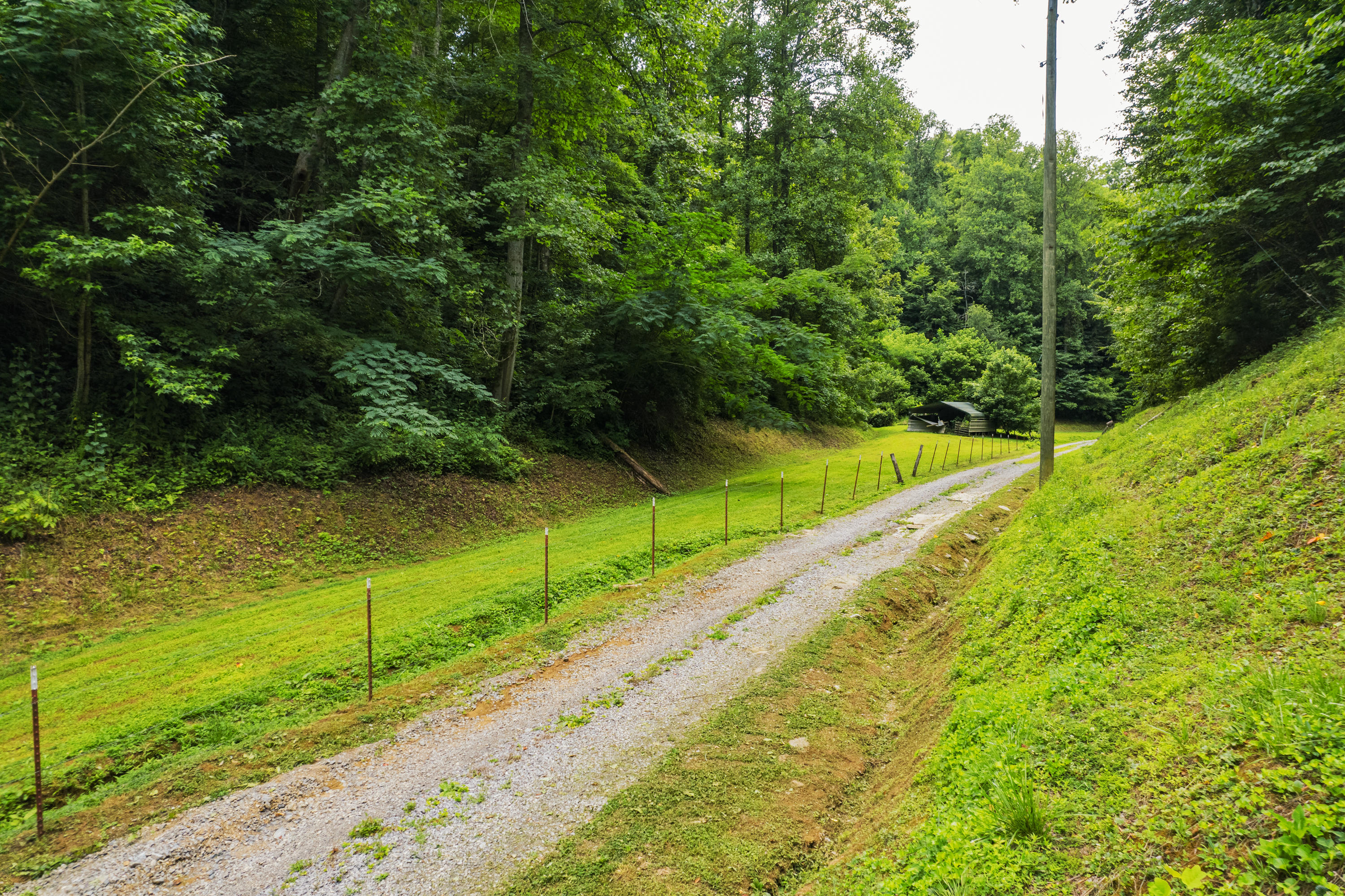 845 Bales Hollow Road Seymour, TN 37865 - Photo 27 of 32 DJI_0042
