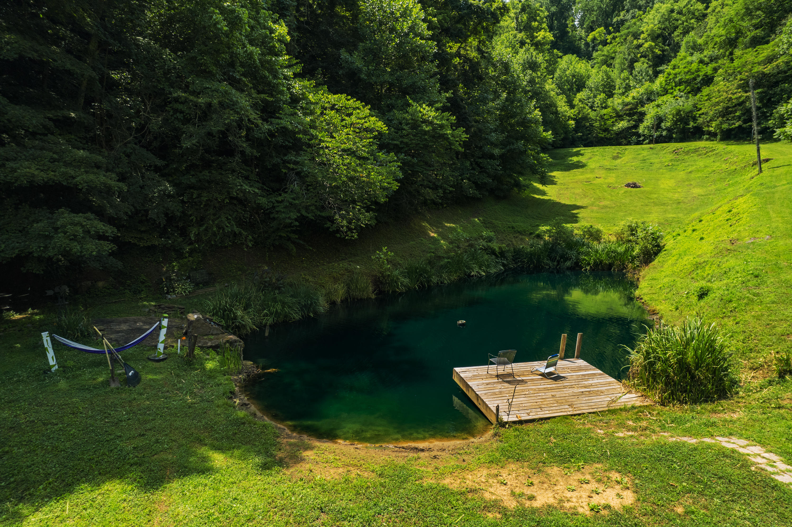 845 Bales Hollow Road Seymour, TN 37865 - Photo 5 of 32 DJI_0007