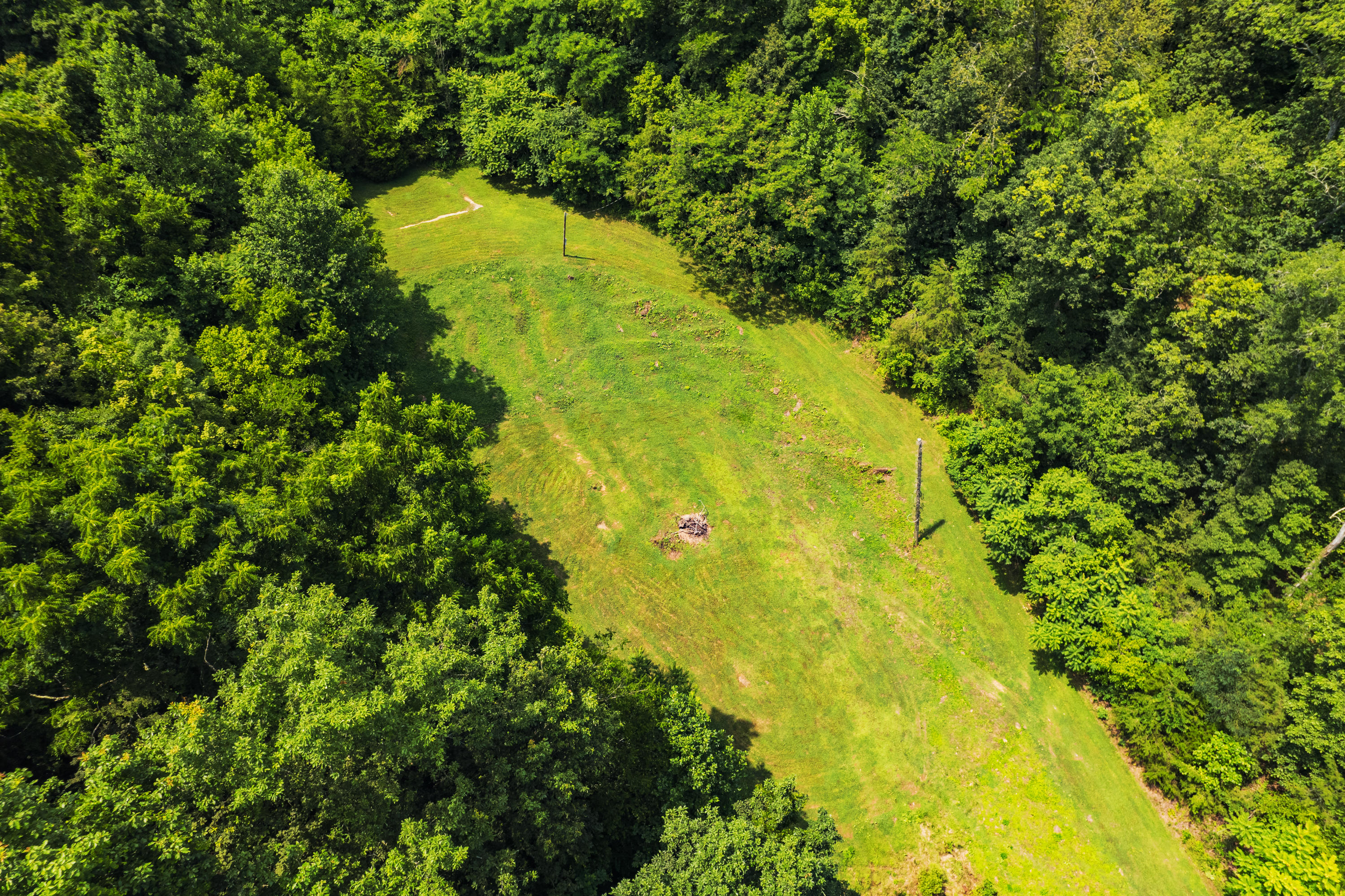 845 Bales Hollow Road Seymour, TN 37865 - Photo 9 of 32 DJI_0012