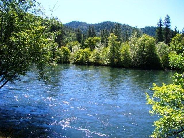 195 Rene Drive Shady Cove, OR 97539 - Photo 1 of 25 Primary Photo