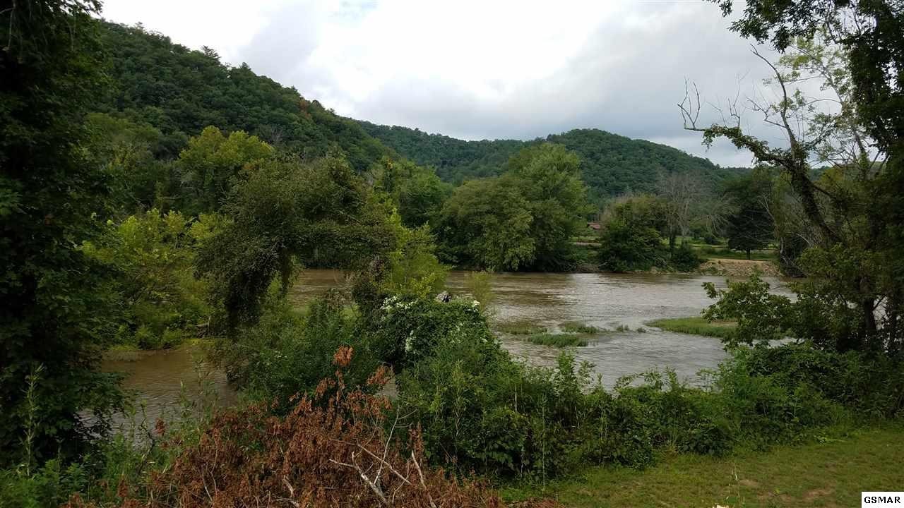 54 River Rpds Way Del Rio, TN 37727 - Photo 9 of 20 Gallery Image 9
