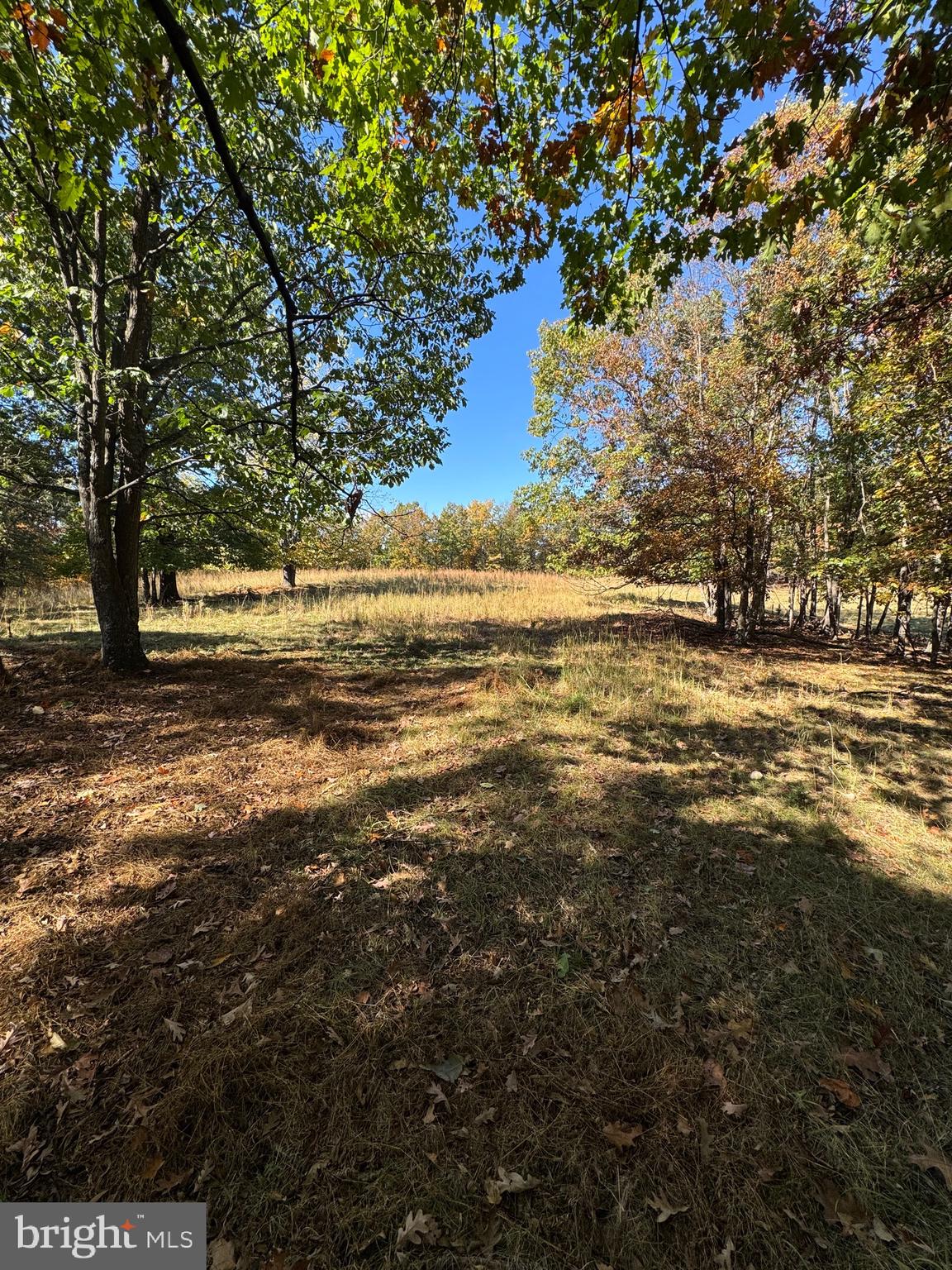 781 Dunmore Road Petersburg, WV 26847 - Photo 22 of 35