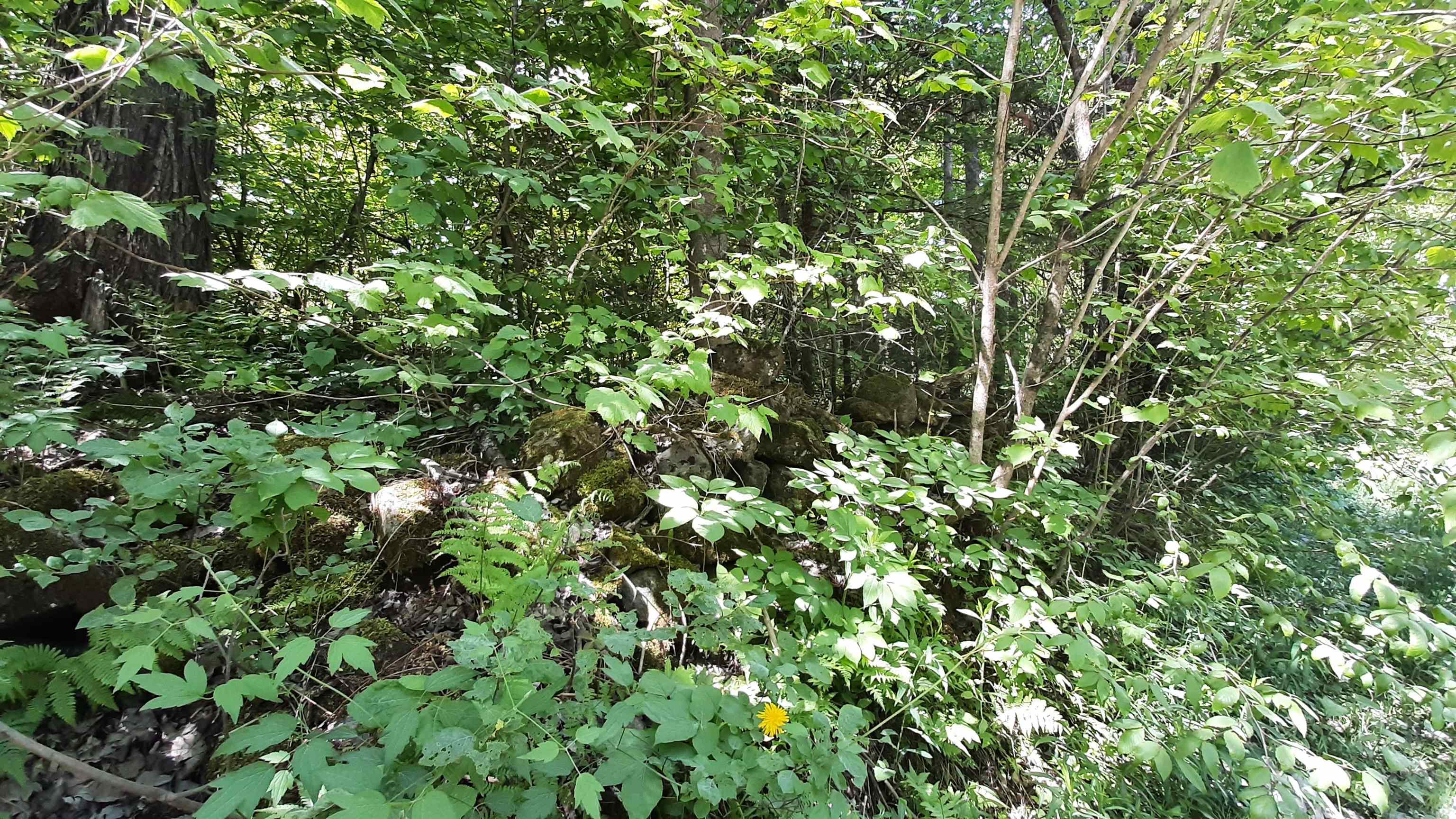 0 Summit Road Mount Holly, VT 05758 - Photo 11 of 37