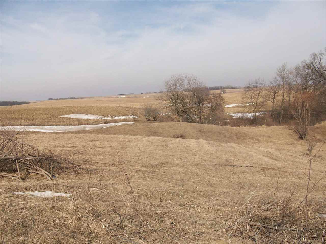 0 Ebys Ml Road Cascade, IA 52033 - Photo 4 of 4 Gallery Image 4
