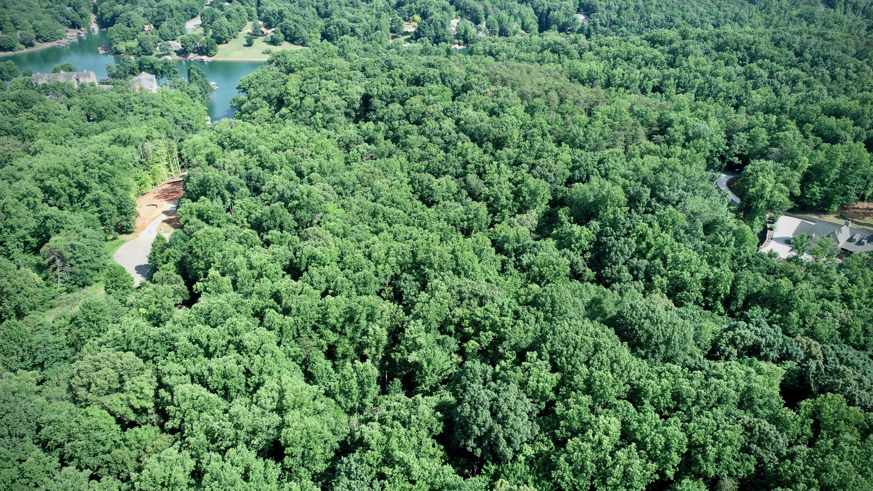 Lot 1 Windlass Road Moneta, VA 24121 - Photo 12 of 36 an aerial view of residential house with outdoor space and trees all around