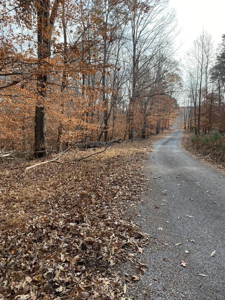 Lot 1 Windlass Road Moneta, VA 24121 - Photo 17 of 36 a view of a yard with trees
