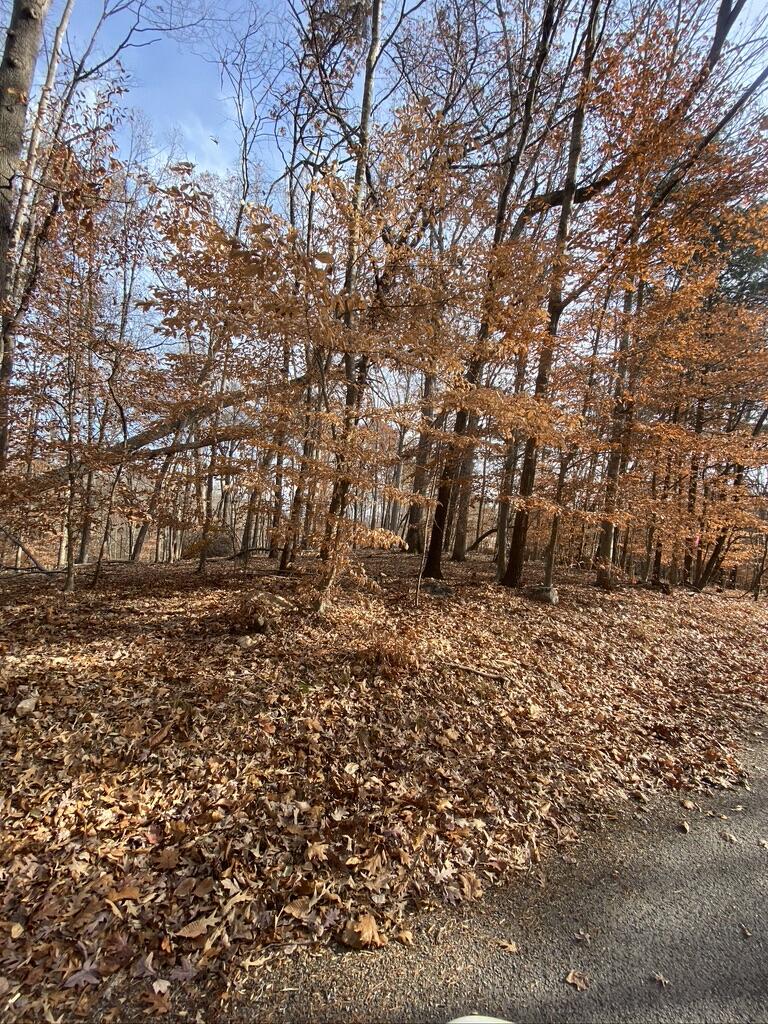 Lot 1 Windlass Road Moneta, VA 24121 - Photo 19 of 36 a view of a yard with a tree