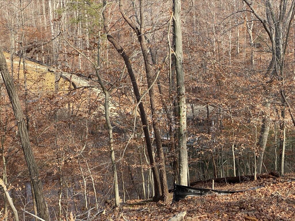 Lot 1 Windlass Road Moneta, VA 24121 - Photo 21 of 36 a backyard of a house with lots of green space