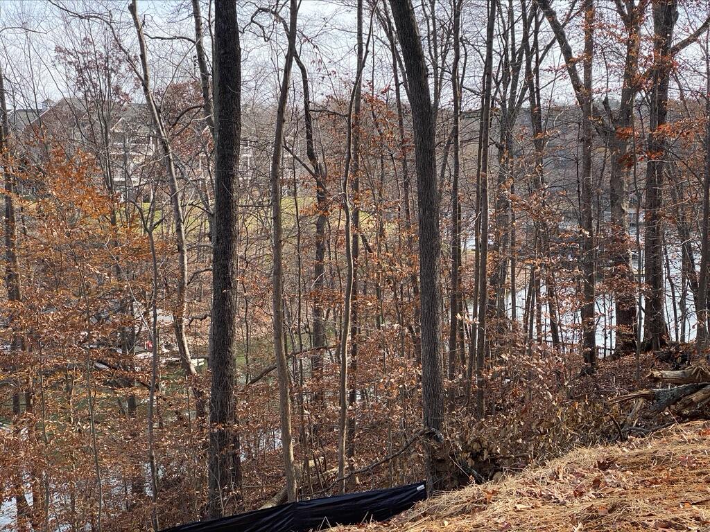 Lot 1 Windlass Road Moneta, VA 24121 - Photo 22 of 36 a view of trees and covered with tall trees