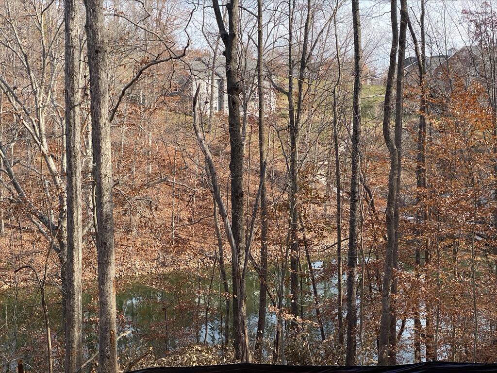 Lot 1 Windlass Road Moneta, VA 24121 - Photo 23 of 36 a view of trees in between two trees