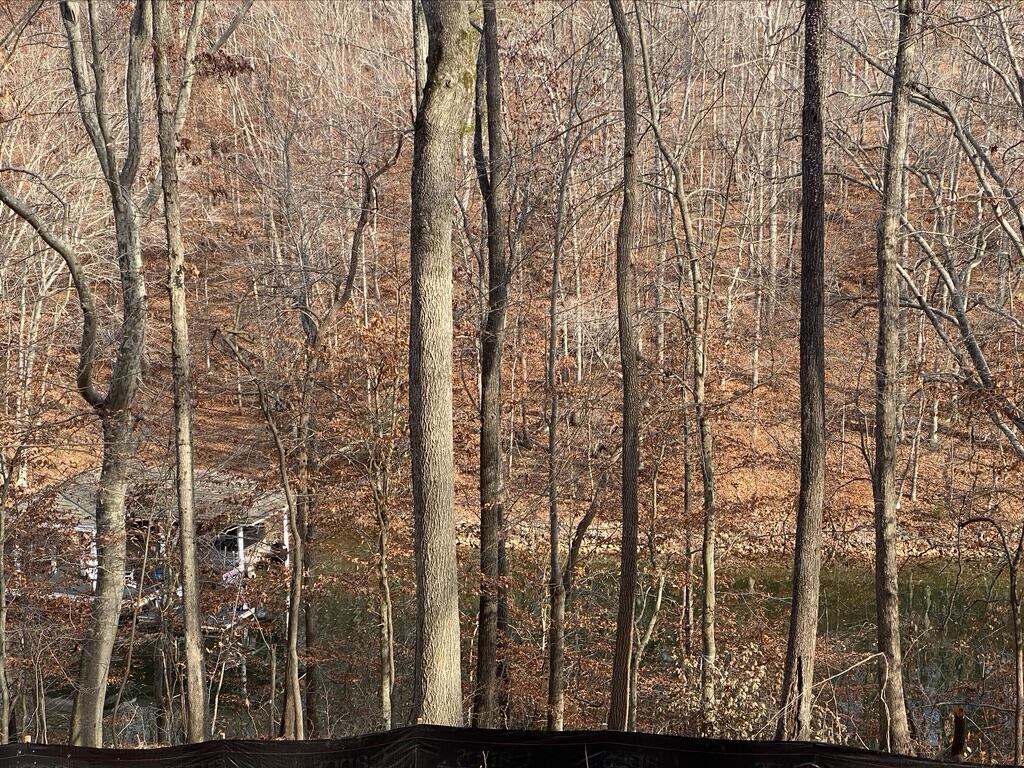 Lot 1 Windlass Road Moneta, VA 24121 - Photo 24 of 36 a view of outdoor space and mountain view