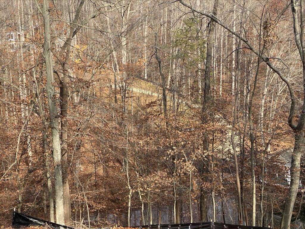 Lot 1 Windlass Road Moneta, VA 24121 - Photo 25 of 36 a view of forest