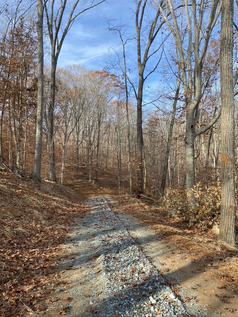 Lot 1 Windlass Road Moneta, VA 24121 - Photo 28 of 36 a view of a yard with trees